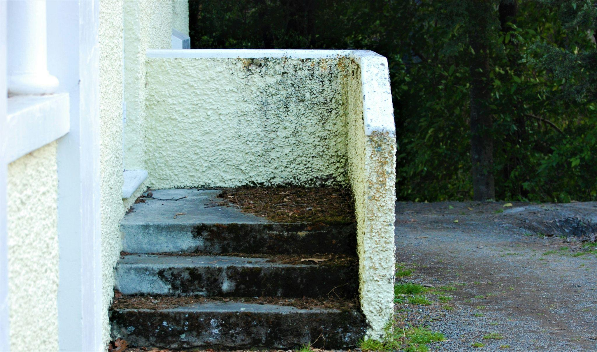 stairs of a house covered in mold