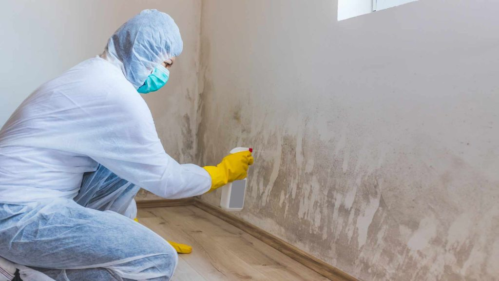 A mold remediation professional at work